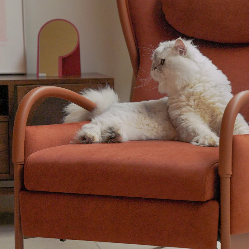 Accompanying sofa anti-cat scratching fabric living room bedroom, single recliner light luxury ergonomic lazy leisure chair
Accompanying sofa anti-cat scratching fabric living room bedroom, single recliner light luxury ergonomic lazy leisure chair