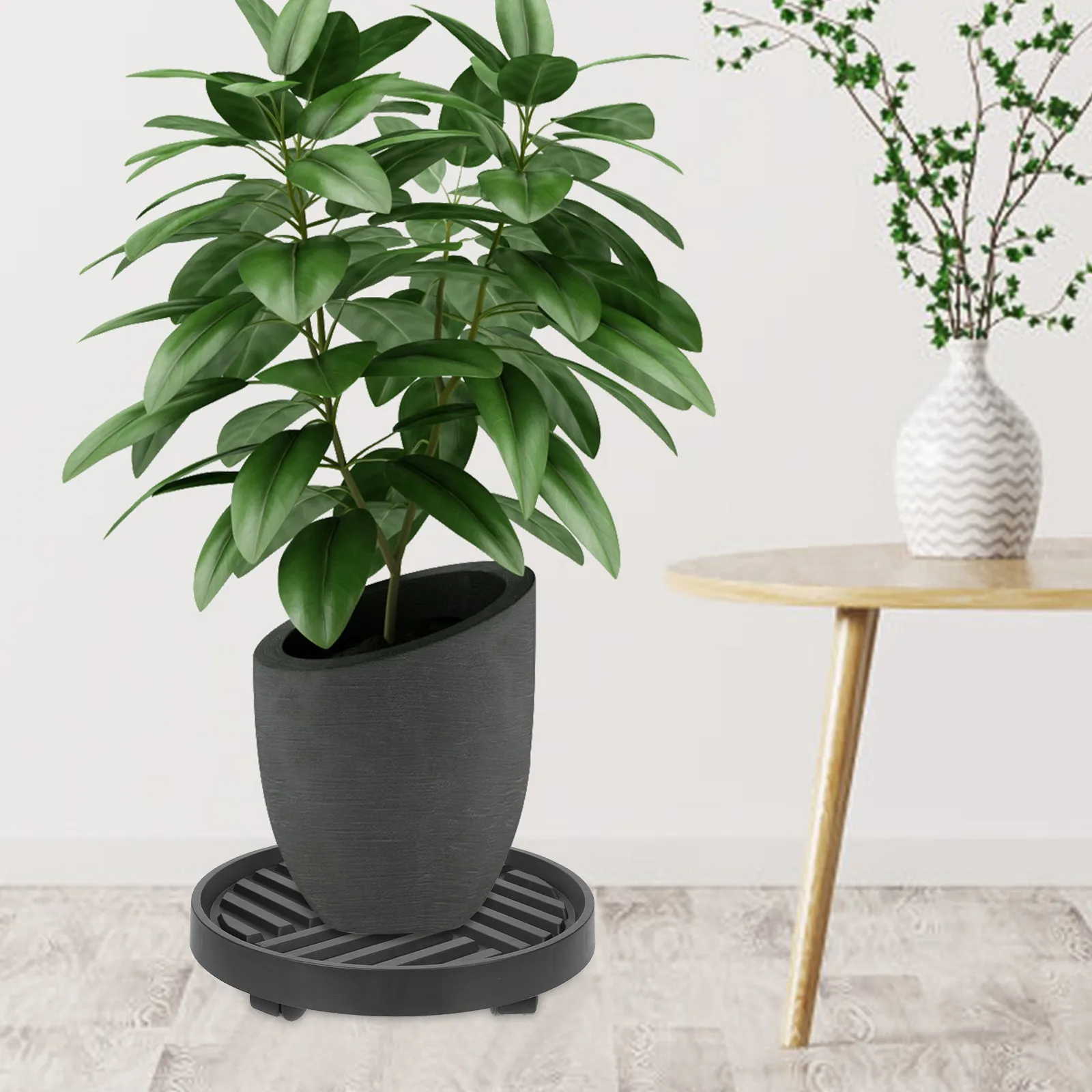 Комплект из 1 утолщенного поддонов для цветочных горшков на колесиках, водонепроницаемая защита пола для крупных растений, портативная подставка для садовых горшков на колесах
Комплект из 1 утолщенного поддонов для цветочных горшков на колесиках, водонепроницаемая защита пола для крупных растений, портативная подставка для садовых горшков на колесах