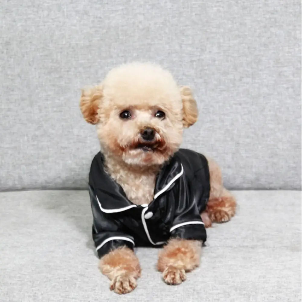 Trendy Soft Pet Silk Pajamas XS/L Skin-friendly Dog Shirt Comfortable Thin Fabric Cat Clothes Casual Use
Trendy Soft Pet Silk Pajamas XS/L Skin-friendly Dog Shirt Comfortable Thin Fabric Cat Clothes Casual Use