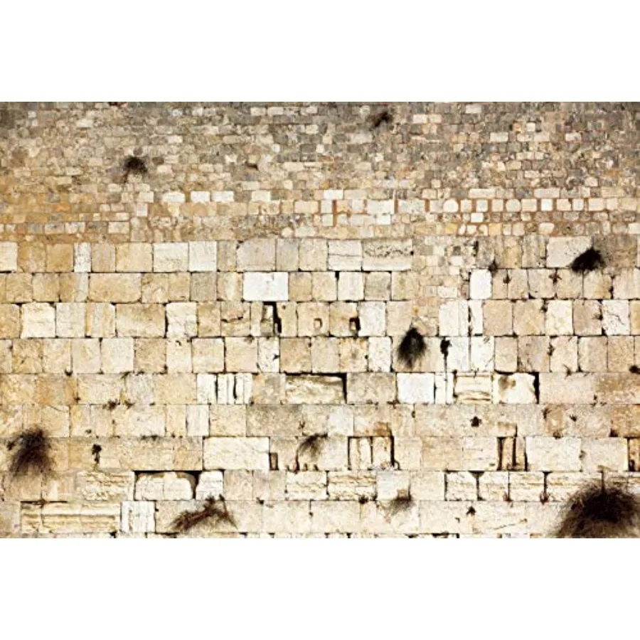 Wailing Wall Backdrop Israel Ancient Cityscape Backdrop Photo Backdrop Photography Background
Wailing Wall Backdrop Israel Ancient Cityscape Backdrop Photo Backdrop Photography Background