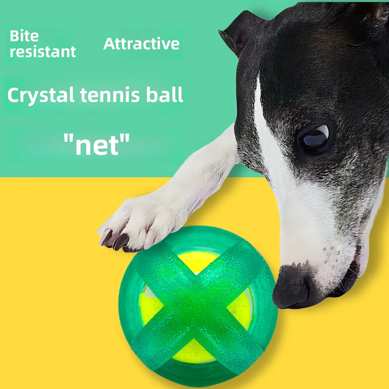 Pet Tennis Tpr Dog Toy Bite Is Not Bad Easy To Clean Molar Teeth Teeth Cleaning Bite-resistant Interactive Golden Pet Dog Toy
Pet Tennis Tpr Dog Toy Bite Is Not Bad Easy To Clean Molar Teeth Teeth Cleaning Bite-resistant Interactive Golden Pet Dog Toy