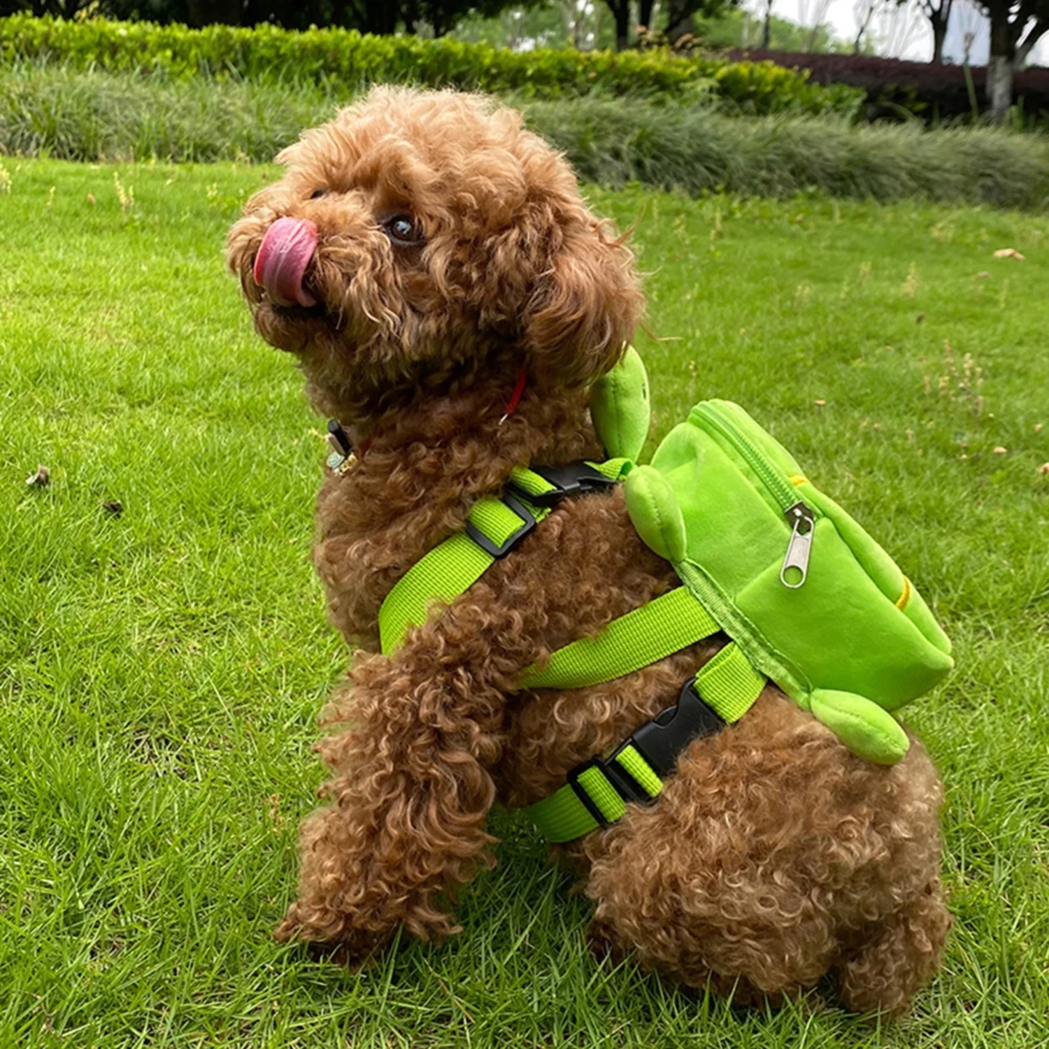 Dog Bag High Quality Lovely Dog Backpack Small Medium Puppy Dogs Cute Chihuahua Dog School Bags Pet Backpacks Pet Supplies
Dog Bag High Quality Lovely Dog Backpack Small Medium Puppy Dogs Cute Chihuahua Dog School Bags Pet Backpacks Pet Supplies
