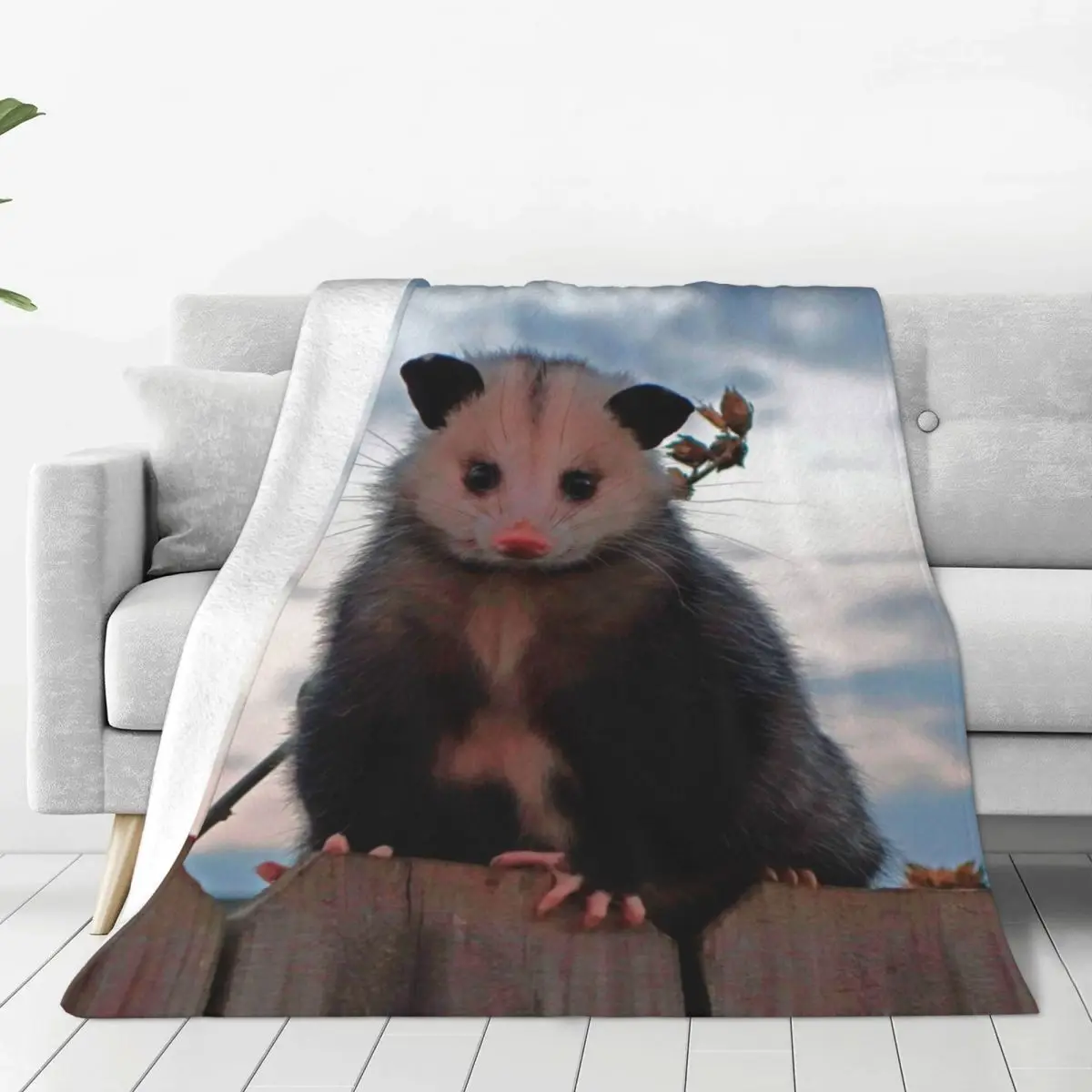 Kawaii Opossum вязаные одеяла флис Possum животные легкие пледы одеяла для спальни диван покрывало
Kawaii Opossum вязаные одеяла флис Possum животные легкие пледы одеяла для спальни диван покрывало