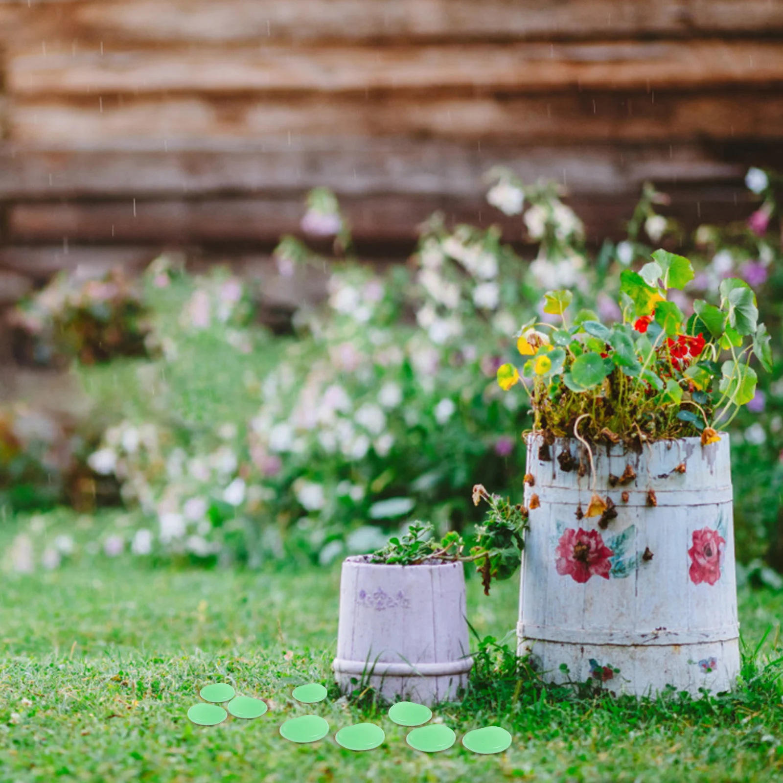 100Pcs Glow Pebbles Delicate Aquarium Stones Compact Multi-Function Fish Tank Gravel Decorative Gravel Flowerpot Pebbles
100Pcs Glow Pebbles Delicate Aquarium Stones Compact Multi-Function Fish Tank Gravel Decorative Gravel Flowerpot Pebbles