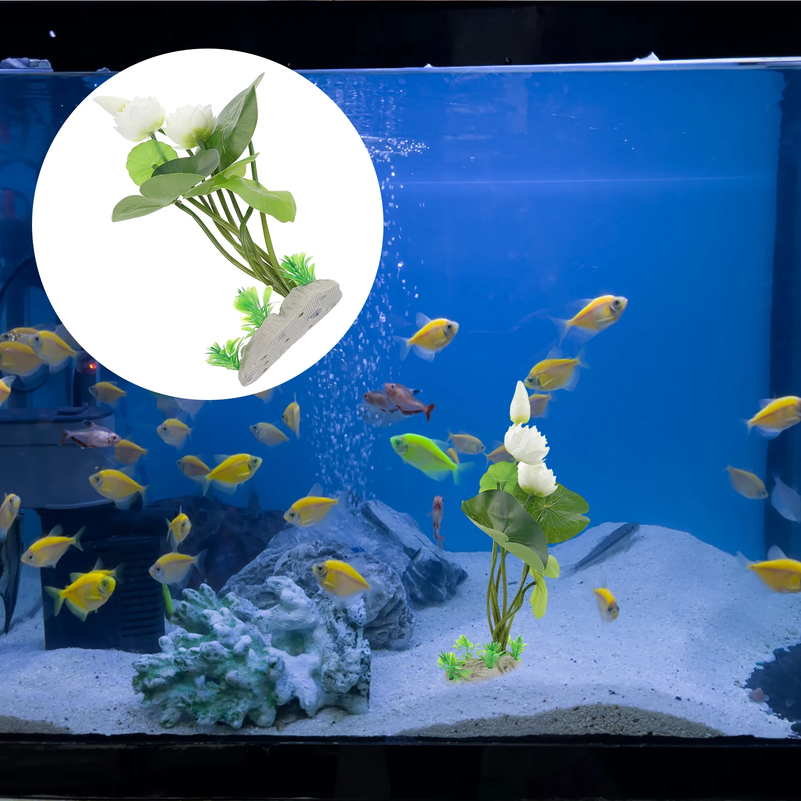 Artificial Plant Decoration Lifelike Aquarium Plants Flower Fish Tank Decors Lotus Decorations Plastic Ornament
Artificial Plant Decoration Lifelike Aquarium Plants Flower Fish Tank Decors Lotus Decorations Plastic Ornament