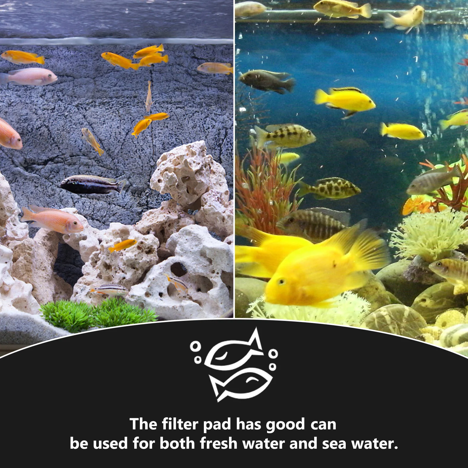 10 pcs White Filter Pad Bottom Grid Plate Fish Tank Filtration System Strong Support Splicing Water Permeable Sand
10 pcs White Filter Pad Bottom Grid Plate Fish Tank Filtration System Strong Support Splicing Water Permeable Sand