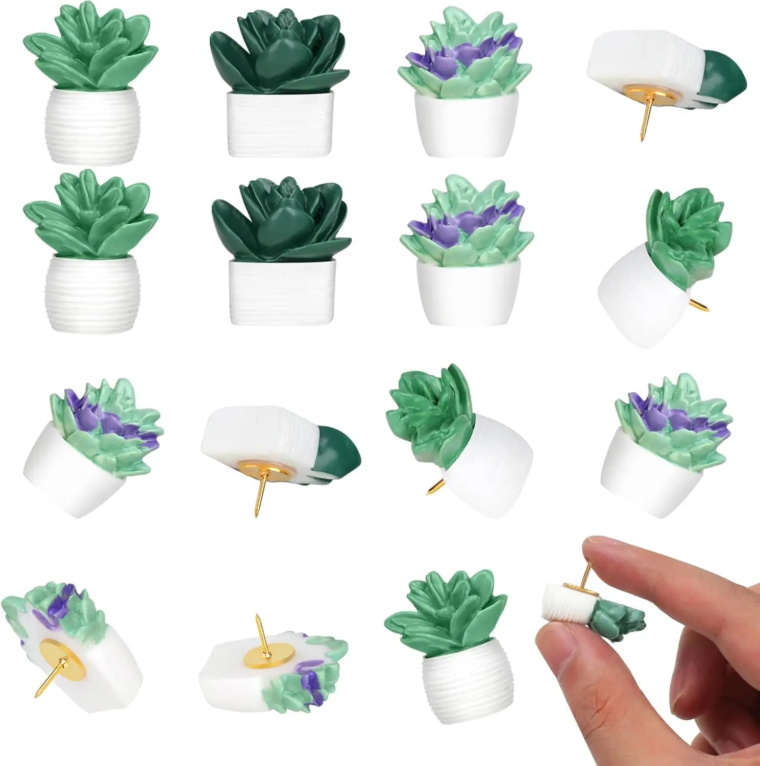 20pcs Succulent Plant Push Pins for Bulletin Board, Cork Board, Map, Office Home Decoration (3 Styles)
20pcs Succulent Plant Push Pins for Bulletin Board, Cork Board, Map, Office Home Decoration (3 Styles)