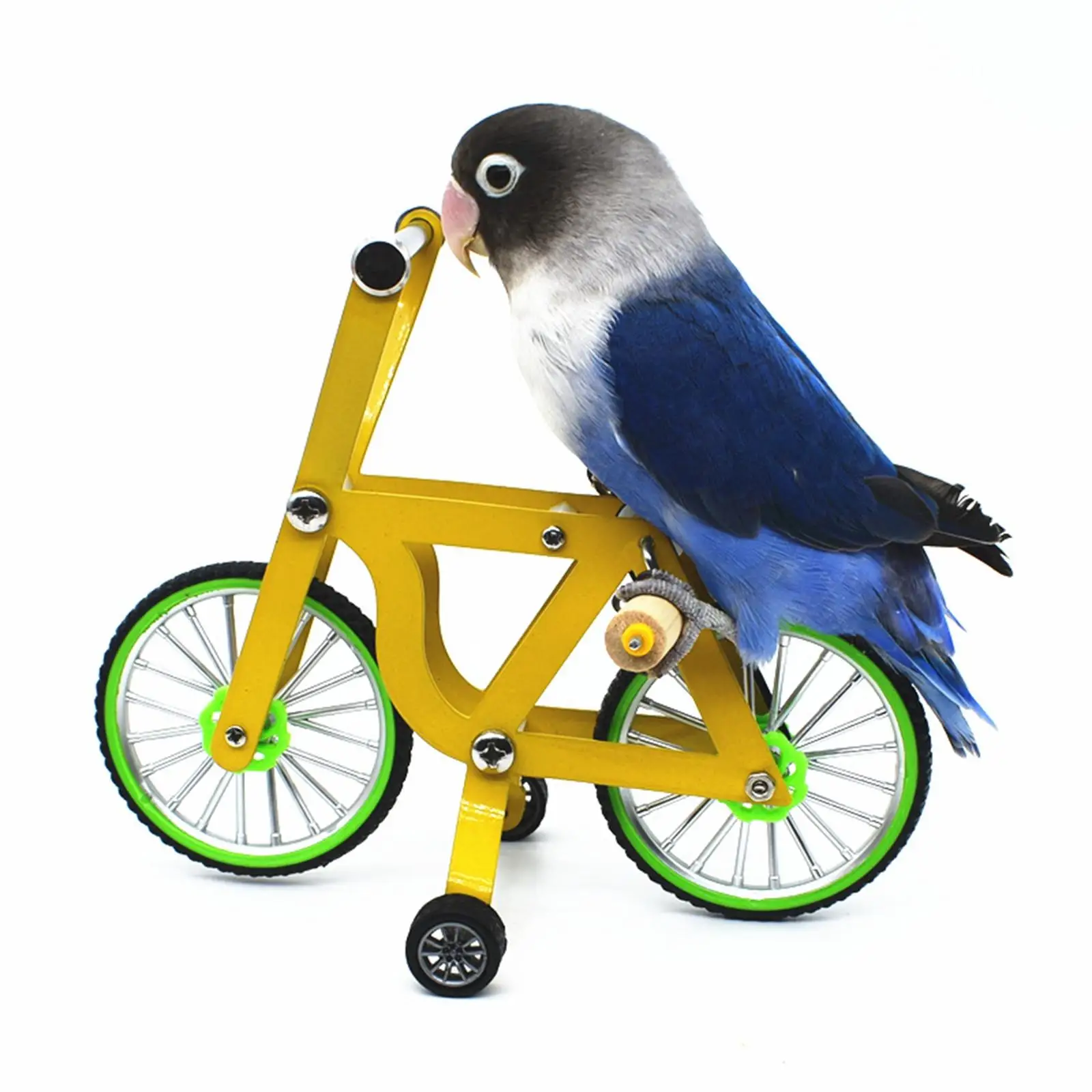 Parrot Parrot Training Toy, Intellectual Development Props, Parrot Educational Toy, Mini Bike Bird Training Toy for Cockatoo
Parrot Parrot Training Toy, Intellectual Development Props, Parrot Educational Toy, Mini Bike Bird Training Toy for Cockatoo