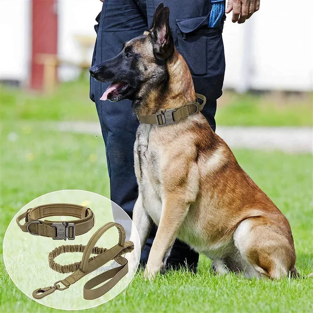 Tactical Dog Leash Collars Adjustable Nylon Military Dog Collar Leads For Medium Large Dogs German Shepherd Training Hunting
Tactical Dog Leash Collars Adjustable Nylon Military Dog Collar Leads For Medium Large Dogs German Shepherd Training Hunting