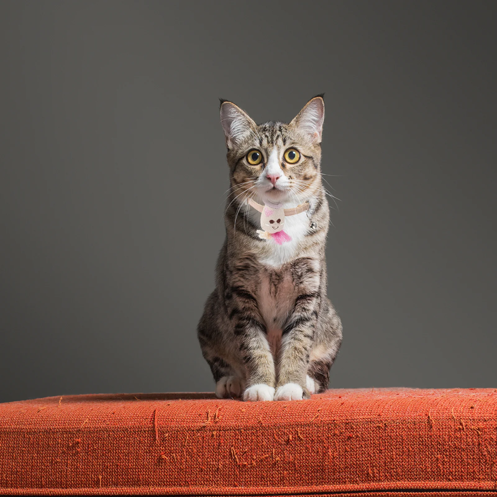 2 pcs Cartoon Carrot Pet Collars Adjustable Dog Collars Puppy Collar Training Comfortable Durable Safe Closure For Dogs Pet
2 pcs Cartoon Carrot Pet Collars Adjustable Dog Collars Puppy Collar Training Comfortable Durable Safe Closure For Dogs Pet