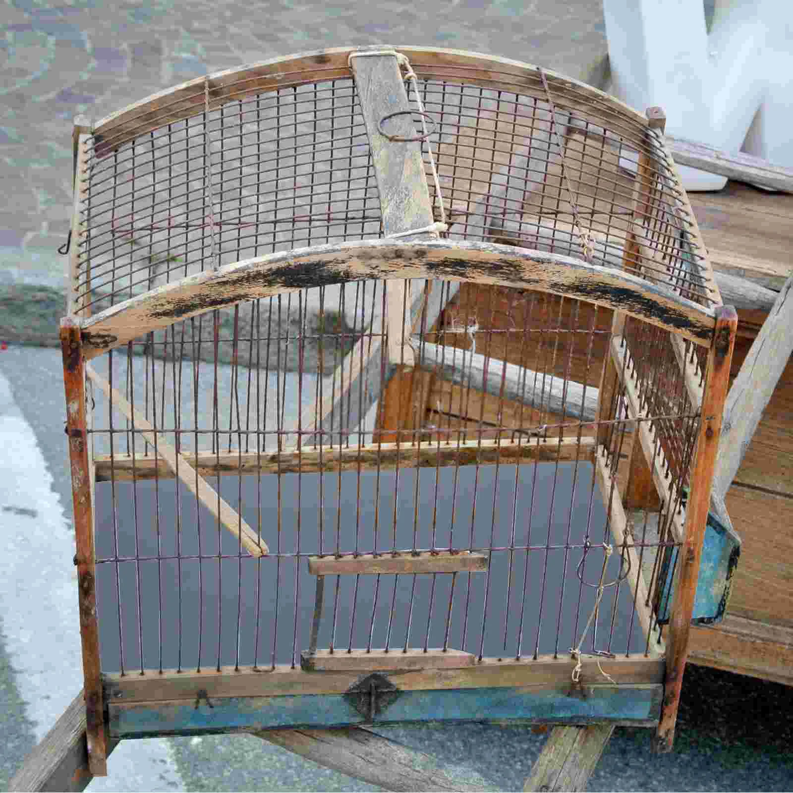 10 Sheets Pet Claw Sandpaper Bird Cage Liner Mat Parrot Wear-resistant Pad Silicon Carbide
10 Sheets Pet Claw Sandpaper Bird Cage Liner Mat Parrot Wear-resistant Pad Silicon Carbide