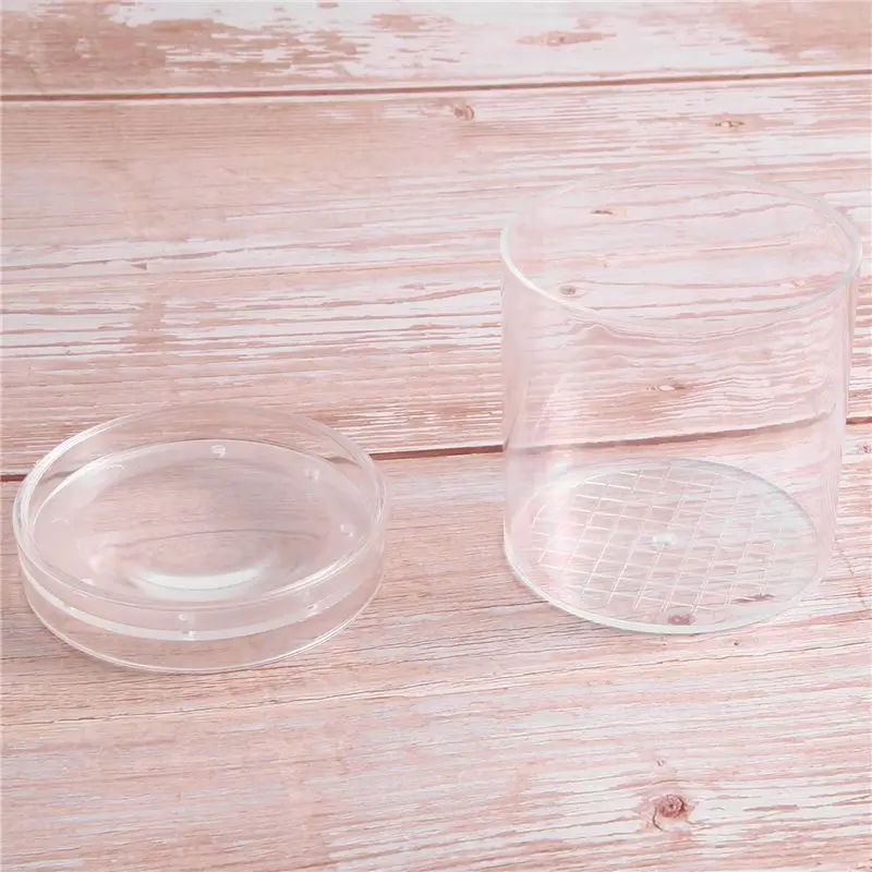 A56P-1Set Insect Magnifying Glass Insect Feeding Box Teaching Instrument Natural Observation Tube
A56P-1Set Insect Magnifying Glass Insect Feeding Box Teaching Instrument Natural Observation Tube