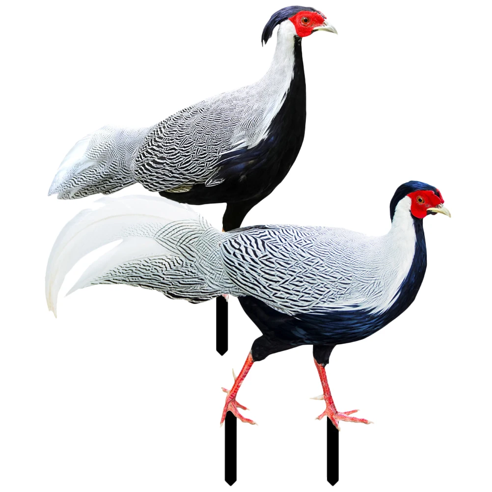 2Pcs Acrylic Garden Decoration Chicken Stake Courtyard Ornaments Ground Inserted Festive Modern Farmhouse Style Lawn Ornament
2Pcs Acrylic Garden Decoration Chicken Stake Courtyard Ornaments Ground Inserted Festive Modern Farmhouse Style Lawn Ornament