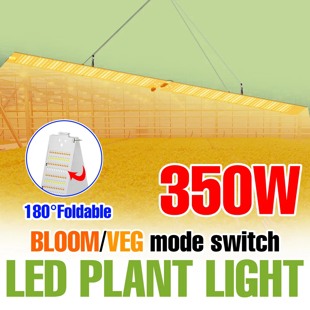 350W LED Full Spectrum Grow Light Quantum Board Greenhouse Tent Vegetables Indoor Flower Seeds Plant Cultivation Lamp US/EU Plug
350W LED Full Spectrum Grow Light Quantum Board Greenhouse Tent Vegetables Indoor Flower Seeds Plant Cultivation Lamp US/EU Plug