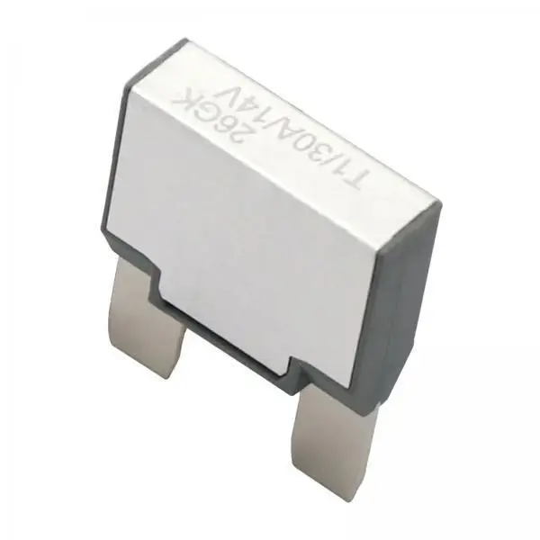 Resettable Thermal Circuit Breaker Blade Fuse 12V 24V Snap in Mount Automotive Accessory for Motorcycle Boat
Resettable Thermal Circuit Breaker Blade Fuse 12V 24V Snap in Mount Automotive Accessory for Motorcycle Boat