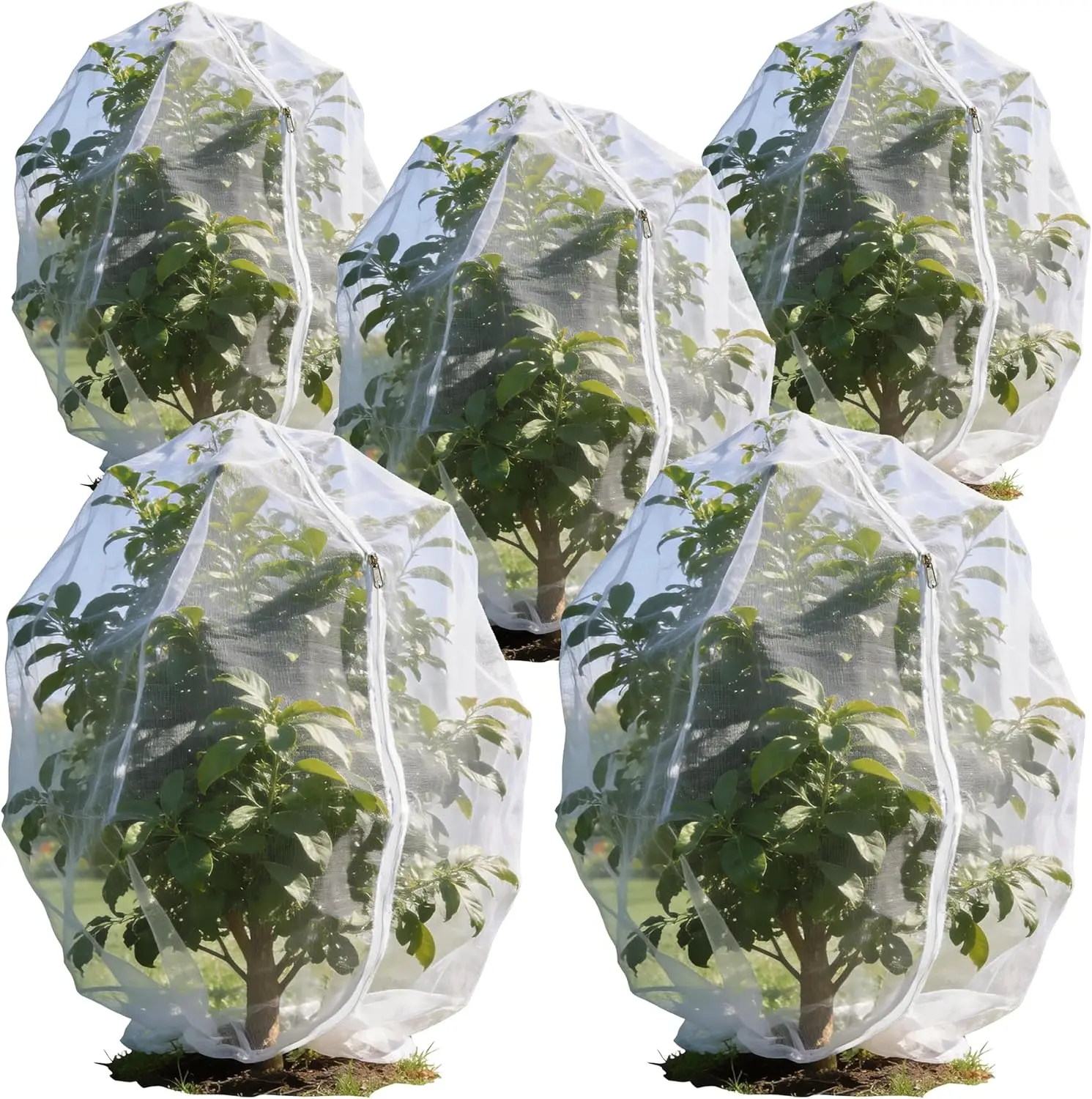 Garden Netting 5-Pack, 3.9x5.9FT, Drawstring & Zipper, Plant Cover & Fruit Tree Net, Protect from Insects & Birds
Garden Netting 5-Pack, 3.9x5.9FT, Drawstring & Zipper, Plant Cover & Fruit Tree Net, Protect from Insects & Birds