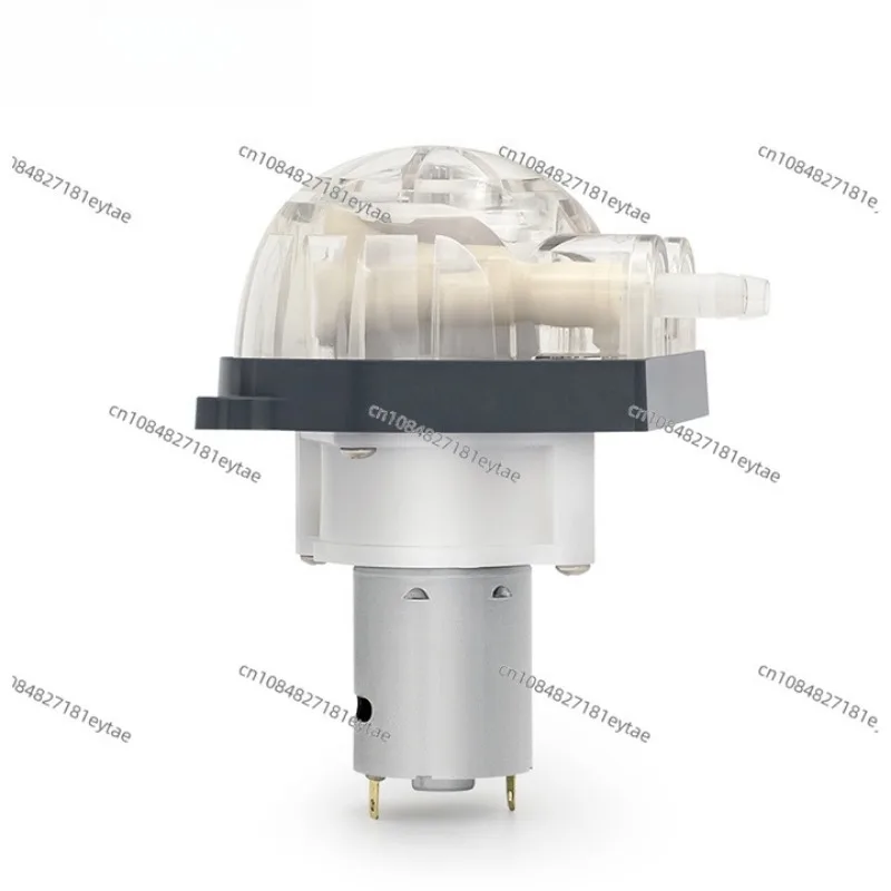 24V DC Motor Miniature Peristaltic Chemical Pump Beverage Metering Pump for Water Treatment
24V DC Motor Miniature Peristaltic Chemical Pump Beverage Metering Pump for Water Treatment