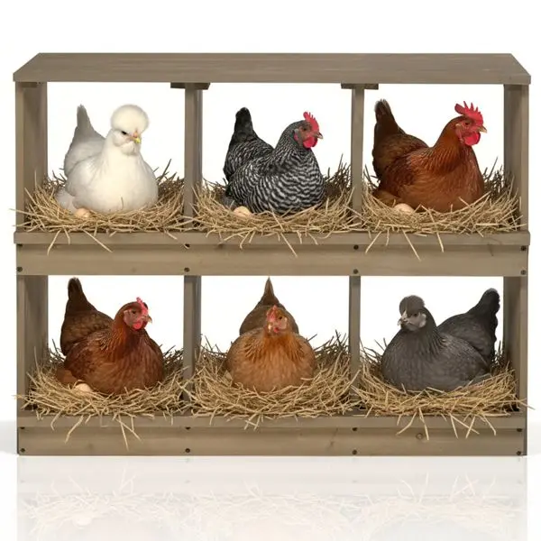 Nesting Boxes for Chickens, Wooden Chicken Nesting Box, Laying Eggs Nest Box for Chickens Hens Ducks, Gray, 6 Compartments
Nesting Boxes for Chickens, Wooden Chicken Nesting Box, Laying Eggs Nest Box for Chickens Hens Ducks, Gray, 6 Compartments