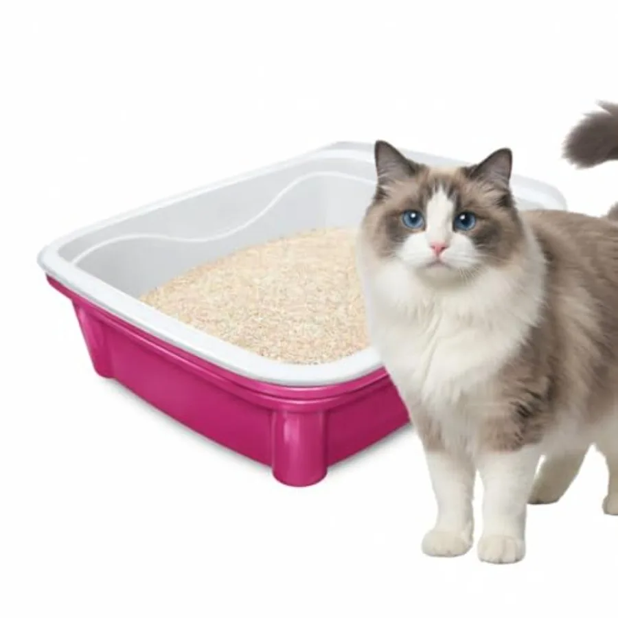 Classic Plus Sifting Litter Box Large - Large Cat Litter Pan with Intelligent Sifting System for Hygiene, Savings and Comfort -
Classic Plus Sifting Litter Box Large - Large Cat Litter Pan with Intelligent Sifting System for Hygiene, Savings and Comfort -