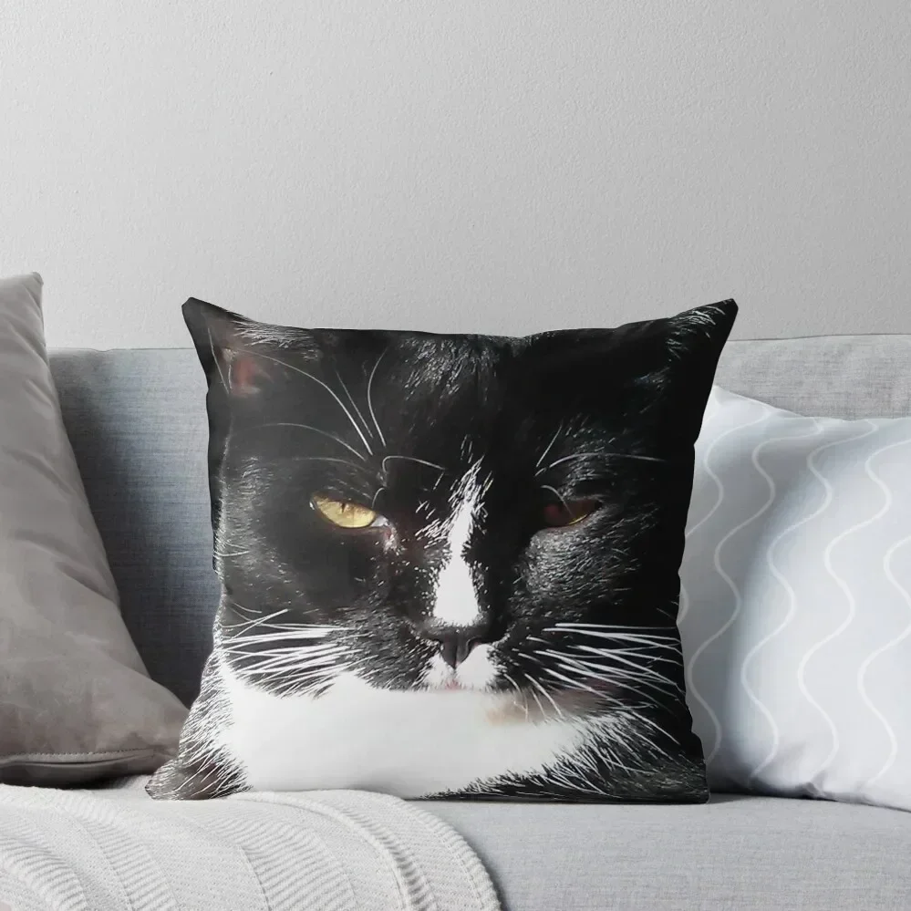 Tuxedo Cat Throw Pillow Pillow Decor sleeping pillows Sofa Decorative Covers pillow
Tuxedo Cat Throw Pillow Pillow Decor sleeping pillows Sofa Decorative Covers pillow