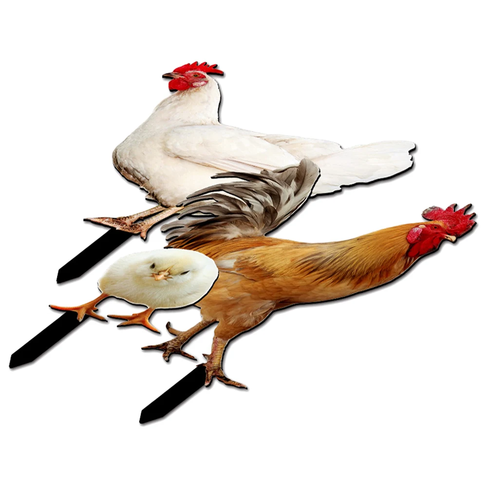 3pcs Rooster Hen Chick Decorations Chicken Lawn Stakes Durable Acrylic Garden Animal Decor Yard Stake Outdoor
3pcs Rooster Hen Chick Decorations Chicken Lawn Stakes Durable Acrylic Garden Animal Decor Yard Stake Outdoor