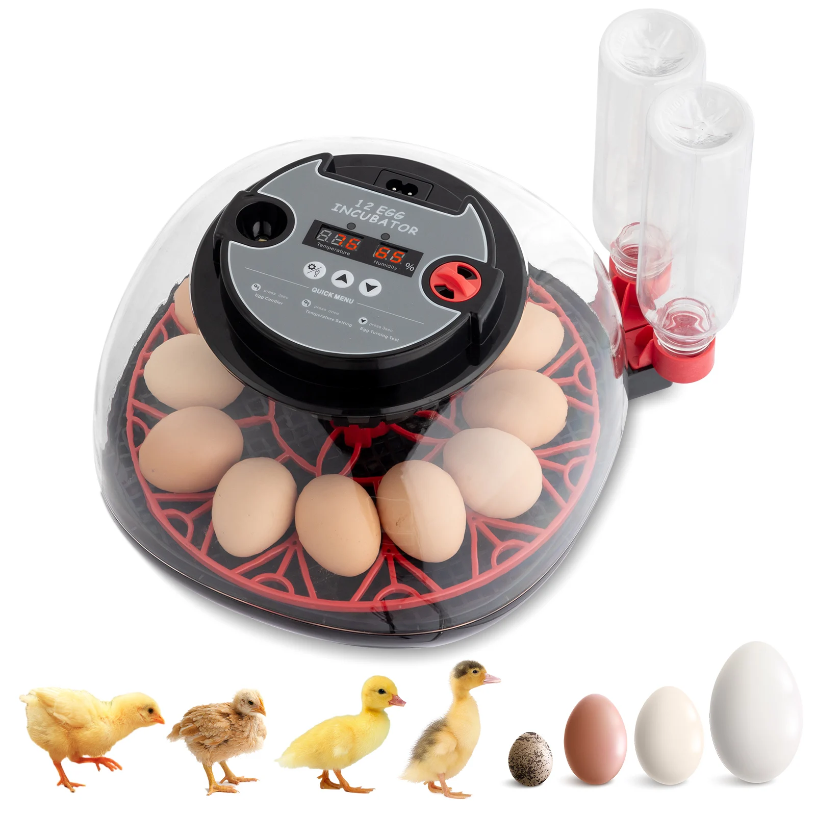 12 Egg Incubator,Auto Turning,Temp Humidity Control,Auto Water Add,LED Candler,Hatching Machine for Poultry Quail Pigeon
12 Egg Incubator,Auto Turning,Temp Humidity Control,Auto Water Add,LED Candler,Hatching Machine for Poultry Quail Pigeon