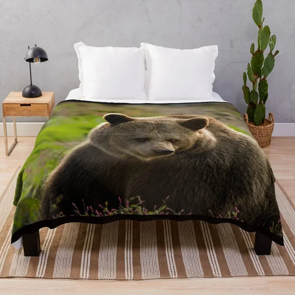 Beautiful grizzly bear Throw Blanket Spring Fall Cozy Throw Blanket for Couch
Beautiful grizzly bear Throw Blanket Spring Fall Cozy Throw Blanket for Couch