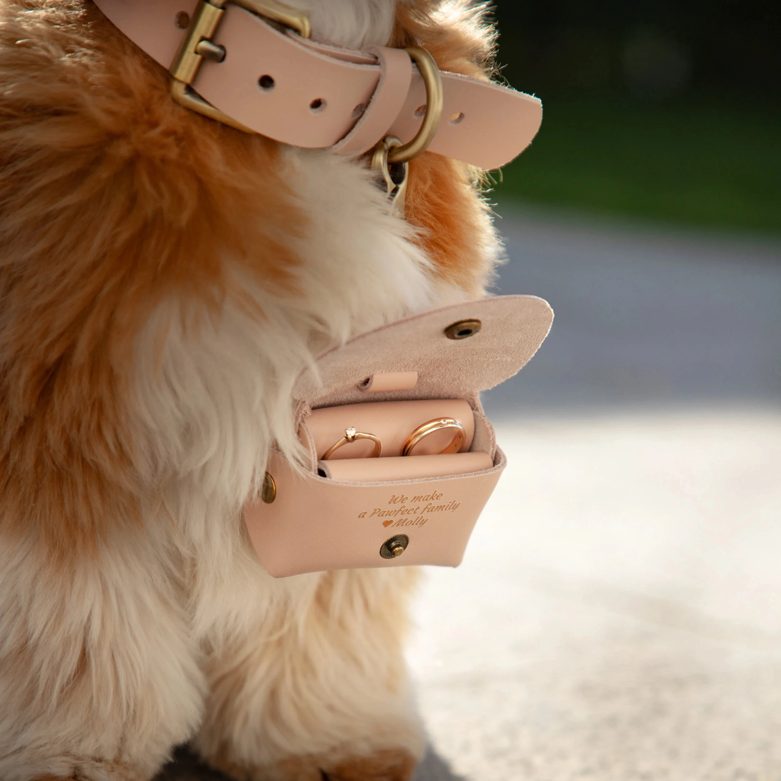 Pet proposal ring pouch with personalization, pet ring carrier for collar, pet ring box with initials Wedding Gift
Pet proposal ring pouch with personalization, pet ring carrier for collar, pet ring box with initials Wedding Gift