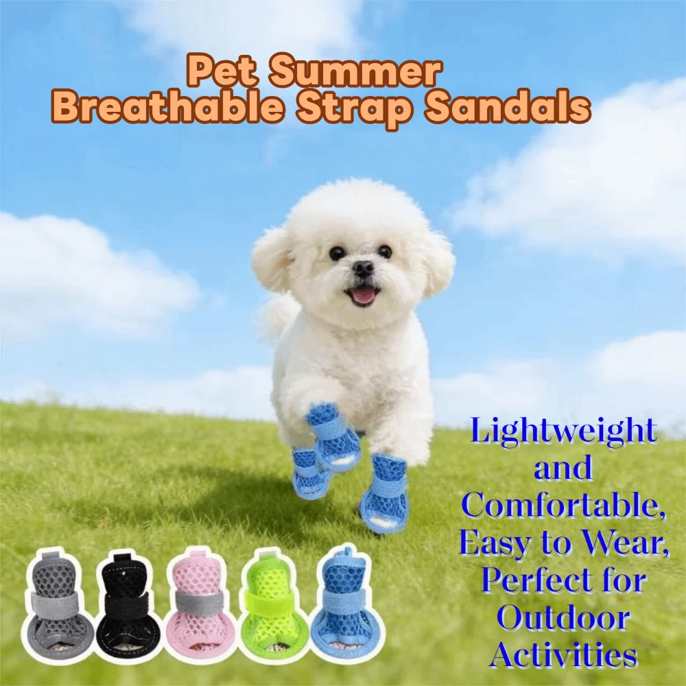 4Pcs/Set Non-Slip Su Dog Shoes Adjustable Soft Breathable Pet Sandals Wear-resistant Soft Sole Hollow Puppy Shoes All Seasons
4Pcs/Set Non-Slip Su Dog Shoes Adjustable Soft Breathable Pet Sandals Wear-resistant Soft Sole Hollow Puppy Shoes All Seasons