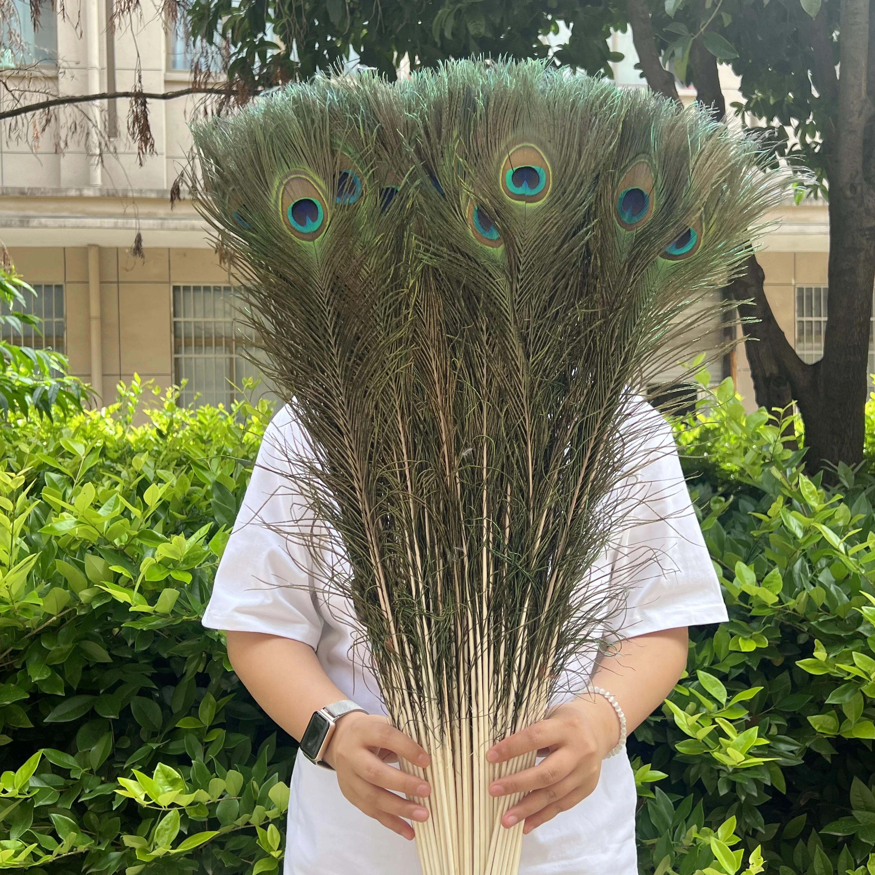 Wholesale 20/50/100pcs/lot Peacock Natural Feather 60-70cm/70-80cm Wedding Wholesale Crafts Decorations for Home Hotel Decoratio
Wholesale 20/50/100pcs/lot Peacock Natural Feather 60-70cm/70-80cm Wedding Wholesale Crafts Decorations for Home Hotel Decoratio