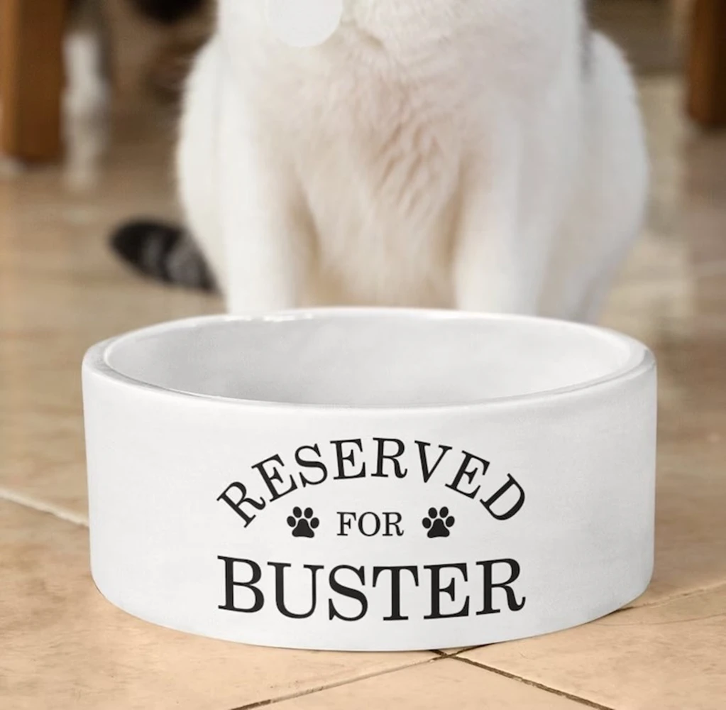 Personalised Pet Bowl, Reserved for New Dog Present, Cat Bowl, Animal Bowl, Ceramic Pet Bowl, Pet Accessories
Personalised Pet Bowl, Reserved for New Dog Present, Cat Bowl, Animal Bowl, Ceramic Pet Bowl, Pet Accessories