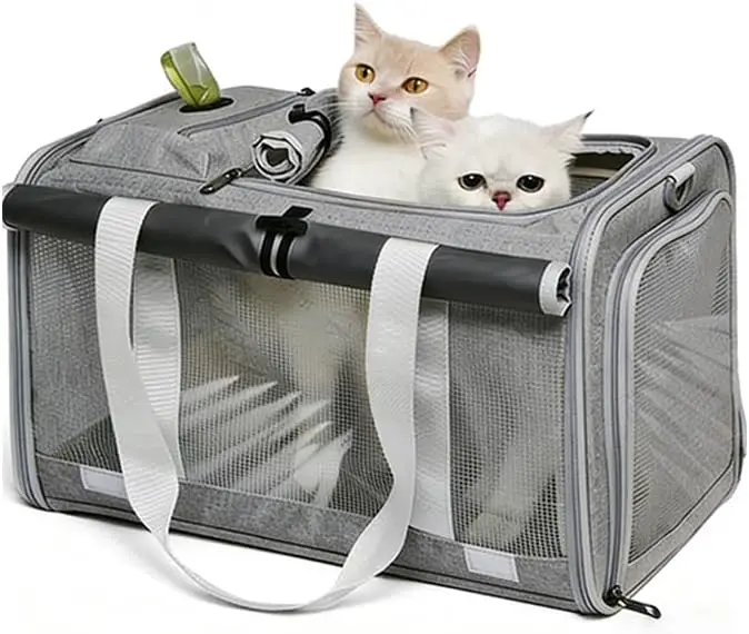 Pet Carrier Bag for Cats & Small Dogs, Airline Approved Travel Cat Carrier with Mesh Windows, Shoulder Strap & Removable Mat,
Pet Carrier Bag for Cats & Small Dogs, Airline Approved Travel Cat Carrier with Mesh Windows, Shoulder Strap & Removable Mat,