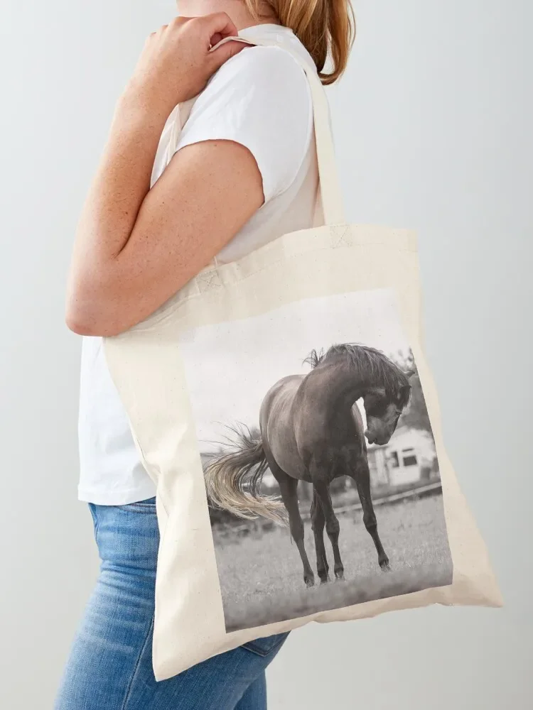 Lui Tote Bag Customizable tote canvas Reusable bags large
Lui Tote Bag Customizable tote canvas Reusable bags large