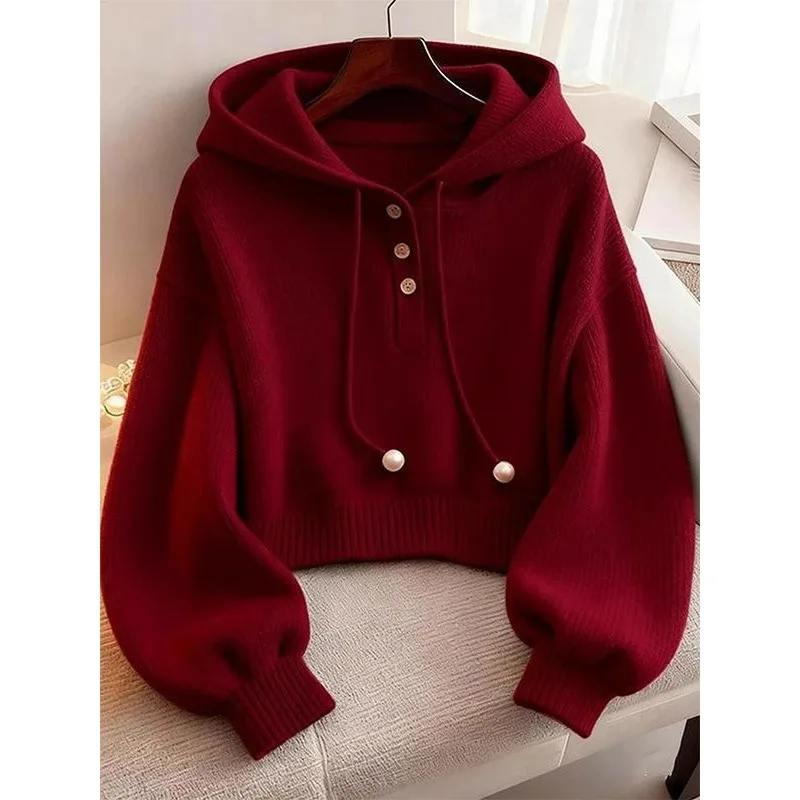 Top Women's Fall Winter Long Sleeve Hooded Sweatshirt Loose Fit Slimming Knit Sweater Cropped Base Layer Stylish New Minimalist
Top Women's Fall Winter Long Sleeve Hooded Sweatshirt Loose Fit Slimming Knit Sweater Cropped Base Layer Stylish New Minimalist