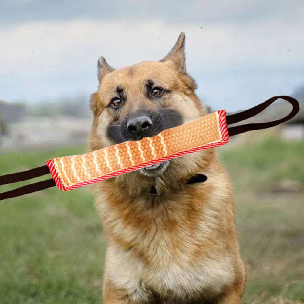 Heavy Duty Dog Training Stick Safe Bite Resistant Molar Chew for Puppies and Dogs Portable Lightweight Fun for Home Or Outside
Heavy Duty Dog Training Stick Safe Bite Resistant Molar Chew for Puppies and Dogs Portable Lightweight Fun for Home Or Outside