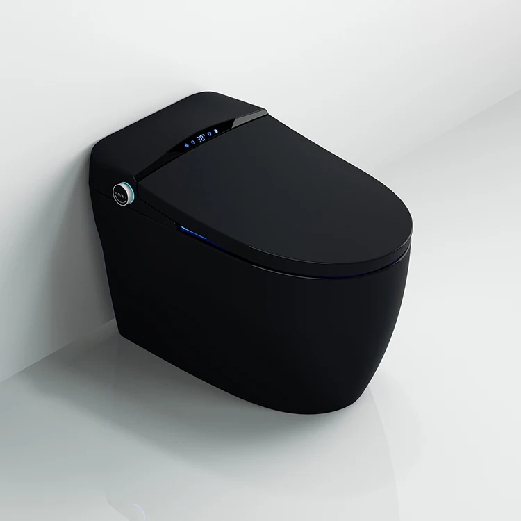 Grey Intelligent Toilet Bowl with Bidet 110V/220V Full Automatic Flush Sensor Ceramic One Piece W/C Smart Toilet
Grey Intelligent Toilet Bowl with Bidet 110V/220V Full Automatic Flush Sensor Ceramic One Piece W/C Smart Toilet