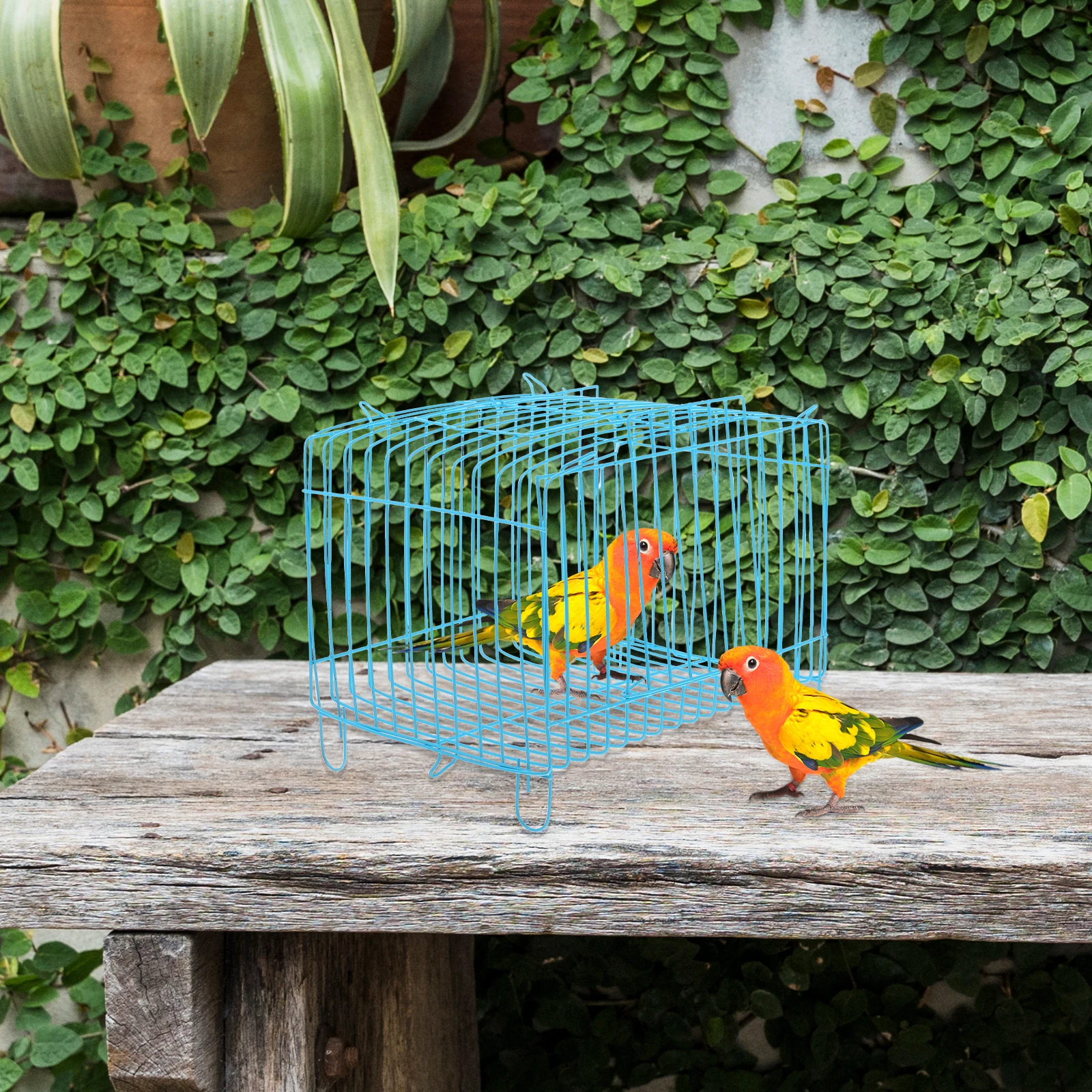 Portable Bird Small Square Hand Cage for Parrot Outdoor Blue Wire Pet Outdoor Bird Carrier Carrier Travel Breathing Space
Portable Bird Small Square Hand Cage for Parrot Outdoor Blue Wire Pet Outdoor Bird Carrier Carrier Travel Breathing Space