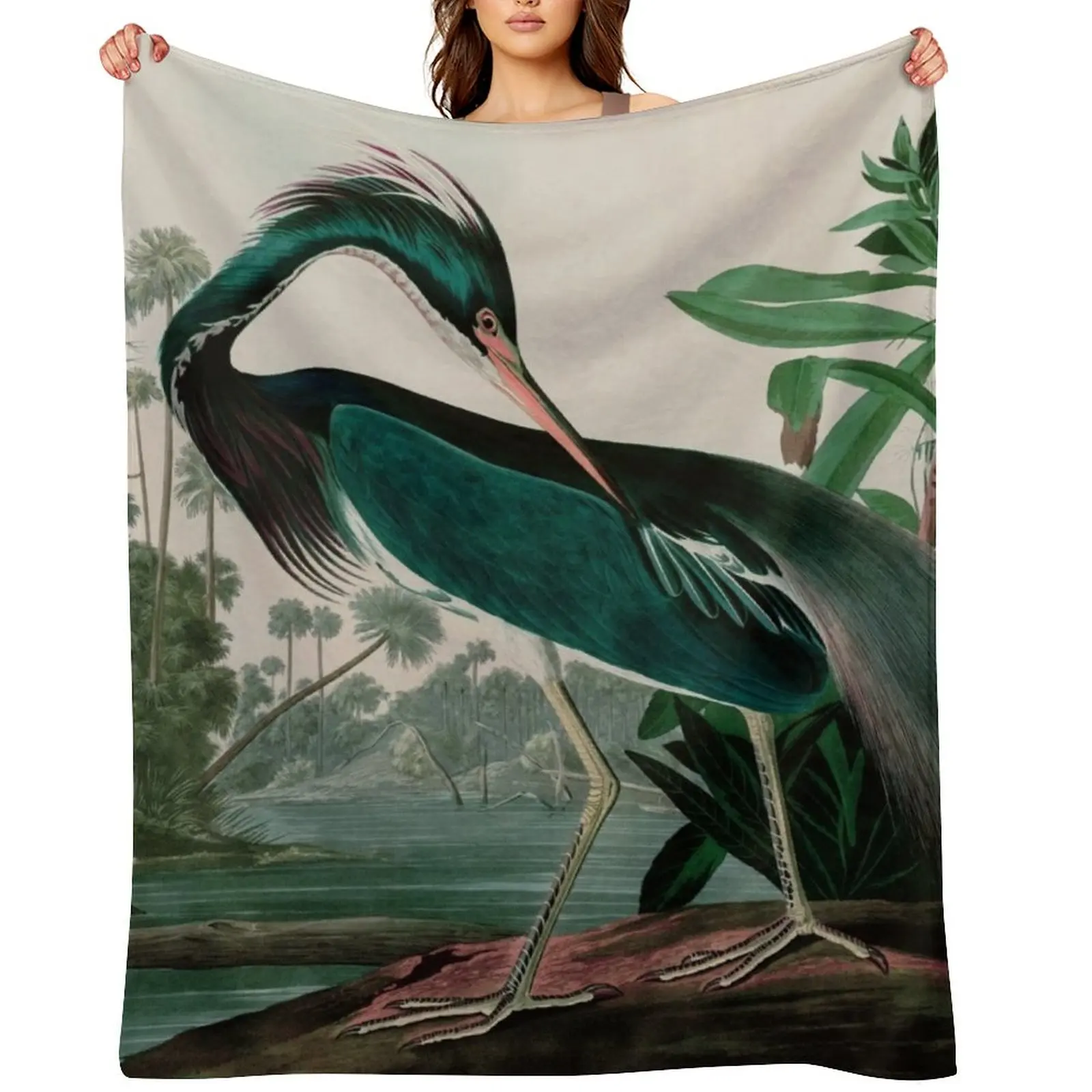 Louisiana Heron Birds of America Audubon Illustration Bird Lovers Gift Throw Blanket Summer Beddings Designers Plaid Blankets
Louisiana Heron Birds of America Audubon Illustration Bird Lovers Gift Throw Blanket Summer Beddings Designers Plaid Blankets
