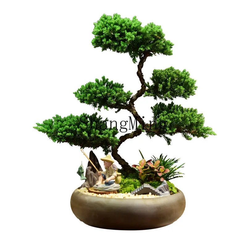 ZYH indoor living room good care office desktop bonsai green plants evergreen decoration
ZYH indoor living room good care office desktop bonsai green plants evergreen decoration
