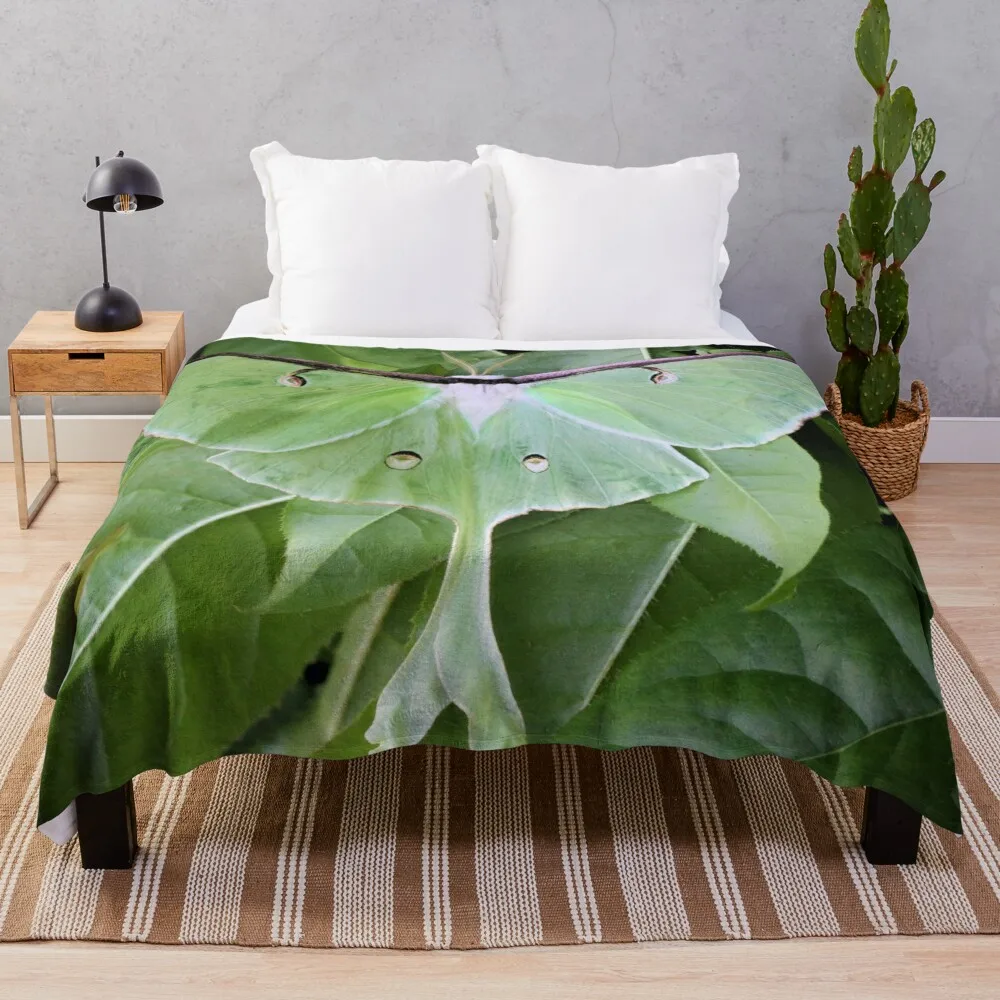 Luna Moth Throw Blanket Polar christmas decoration Plaid on the sofa Beach Blankets
Luna Moth Throw Blanket Polar christmas decoration Plaid on the sofa Beach Blankets