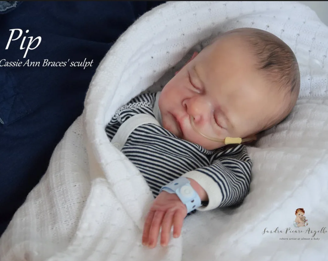 16" Unfinished Unpainted Reborn Pip Doll Kit, Blank Mold Popular Soft Touch Lifelike Baby Doll Parts
16" Unfinished Unpainted Reborn Pip Doll Kit, Blank Mold Popular Soft Touch Lifelike Baby Doll Parts