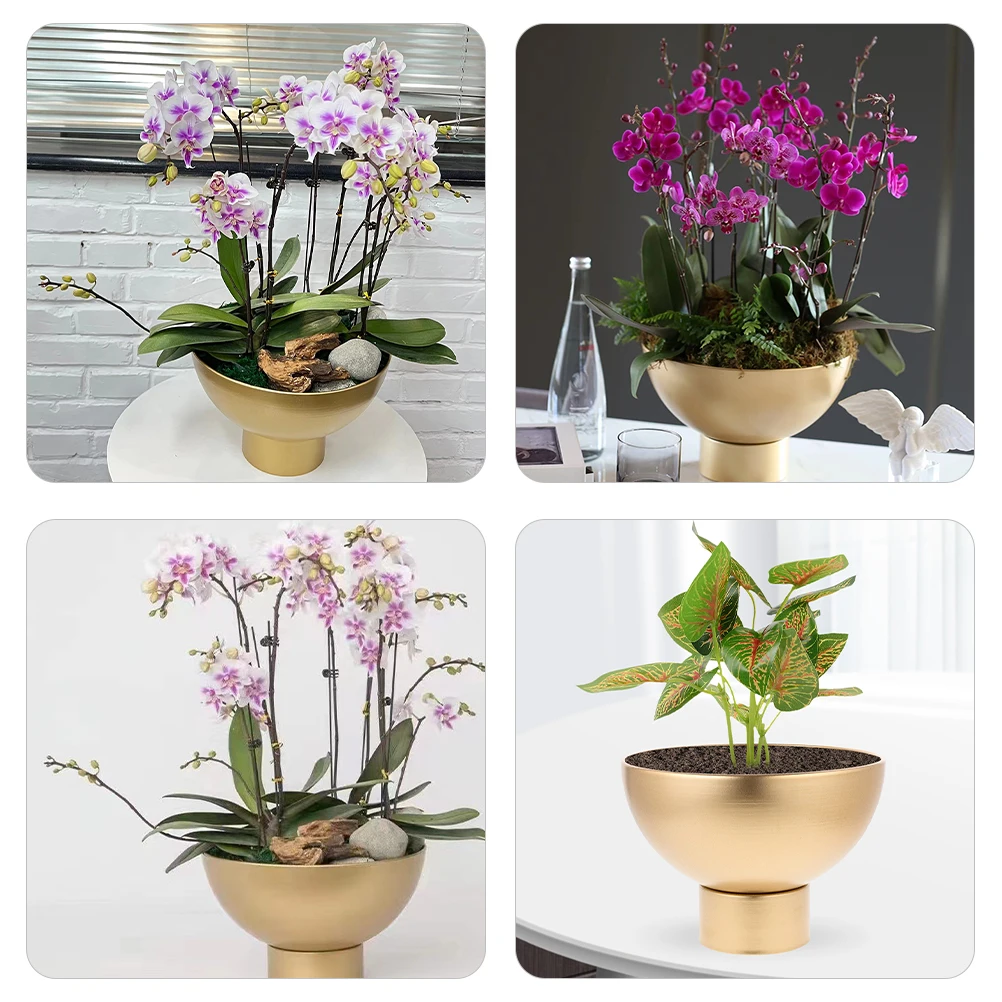 Metal Flower Pot Large Opening High Base Planter Modern Style Bonsai Container Gardening Home Decor
Metal Flower Pot Large Opening High Base Planter Modern Style Bonsai Container Gardening Home Decor