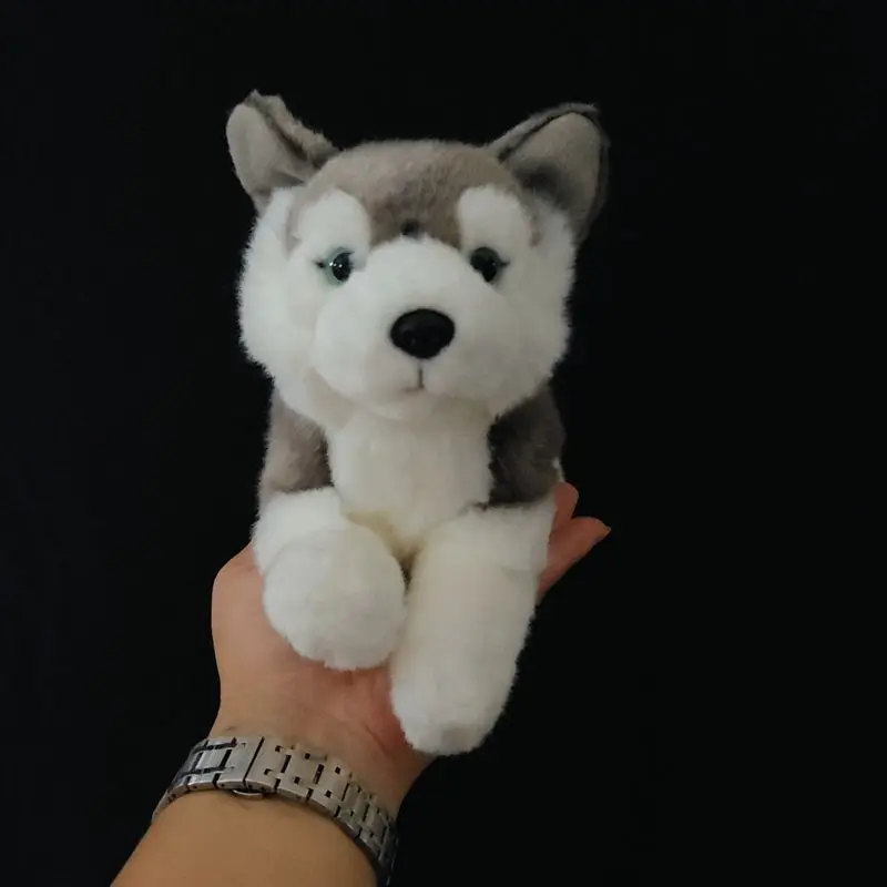 L26cm Husky Plush Toy Dog Figurine Realistic Puppy Doll Cute Rag Doll Kids Girl Birthday Gift
L26cm Husky Plush Toy Dog Figurine Realistic Puppy Doll Cute Rag Doll Kids Girl Birthday Gift