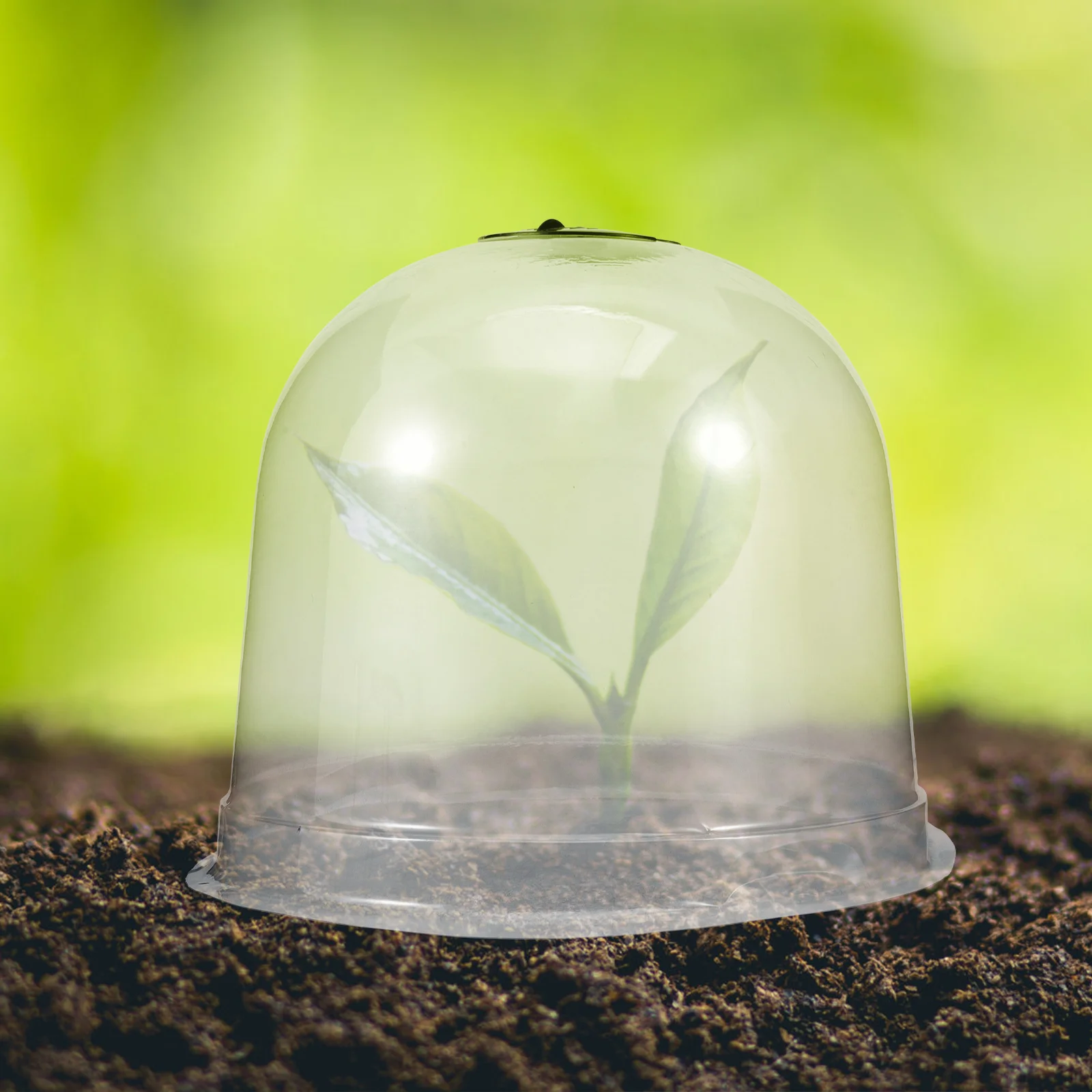 Care Constant Temperature Seedling Cover 26x20 Transparent Breathable Nursery Shelter Humidity Dome Plastic Garden Cloches Plant
Care Constant Temperature Seedling Cover 26x20 Transparent Breathable Nursery Shelter Humidity Dome Plastic Garden Cloches Plant