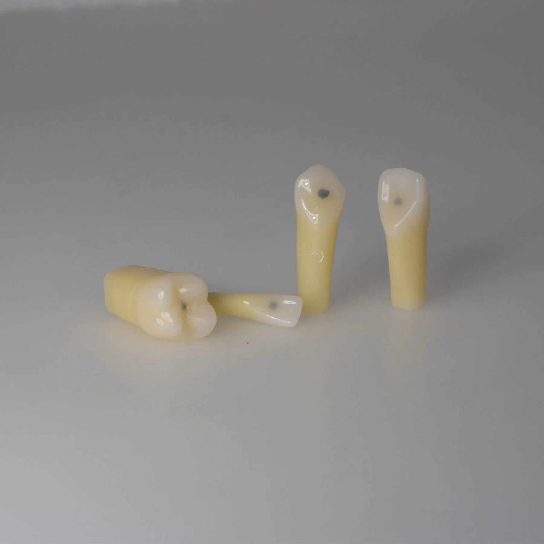 28 Pcs Dental Typodont Teeth Model with Caries Spots Fits Kilgore Nissin 200 M8024-1
28 Pcs Dental Typodont Teeth Model with Caries Spots Fits Kilgore Nissin 200 M8024-1