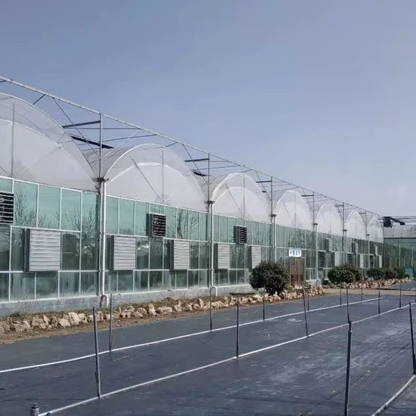 Customized greenhouseCustom Multi-Span Plastic Film Greenhouse for Tomato Hydroponic Grow , PE Film Greenhouse With Ventilation
Customized greenhouseCustom Multi-Span Plastic Film Greenhouse for Tomato Hydroponic Grow , PE Film Greenhouse With Ventilation