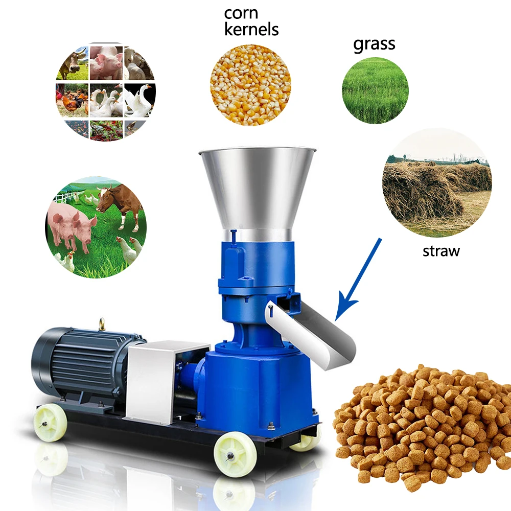 Cheap Animal Poultry Animal Feed Pellet Processing Making Machines for Animal Feed
Cheap Animal Poultry Animal Feed Pellet Processing Making Machines for Animal Feed