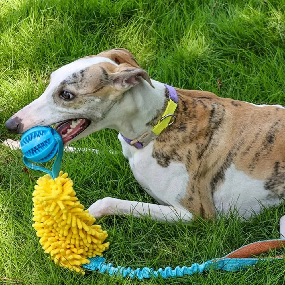 Dog Chew Rope Colorful Dog Tug Toy Plush Elastic Drawstring Pet Chew Toy Squeaky Grind Teeth Toy Training Interactive
Dog Chew Rope Colorful Dog Tug Toy Plush Elastic Drawstring Pet Chew Toy Squeaky Grind Teeth Toy Training Interactive