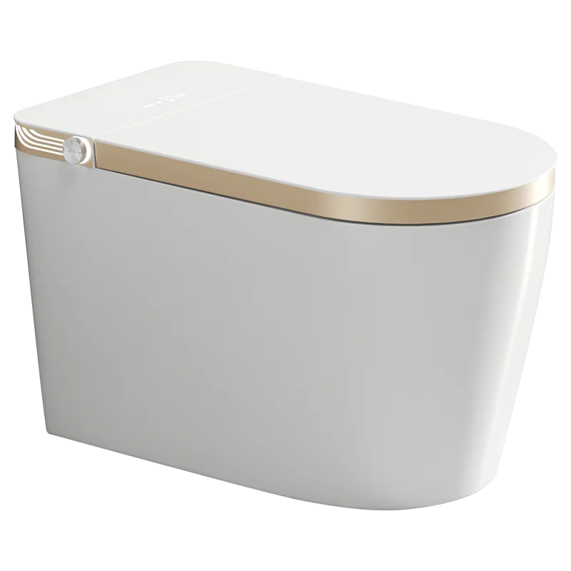 Slender Gold Smart Toilet with Remote Control and Seat Heating
Slender Gold Smart Toilet with Remote Control and Seat Heating