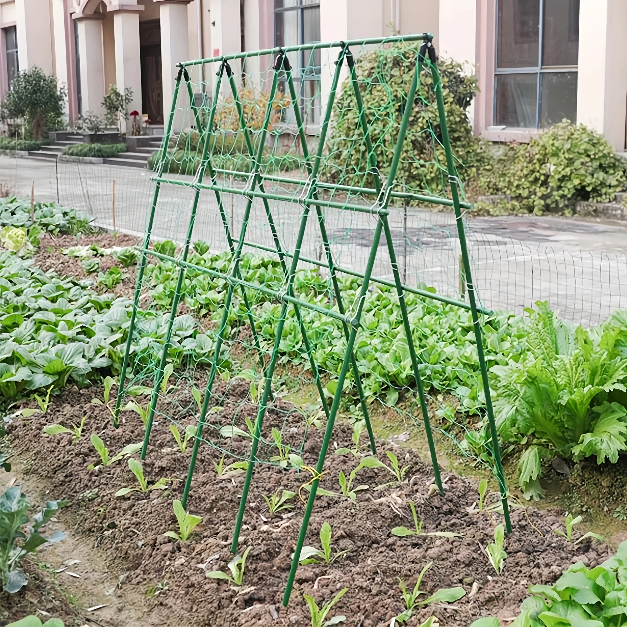 New 1sets 60cmx11mm Durable and versatile plant support piles for tomato, cucumber, grape, vegetable trellises H0983
New 1sets 60cmx11mm Durable and versatile plant support piles for tomato, cucumber, grape, vegetable trellises H0983